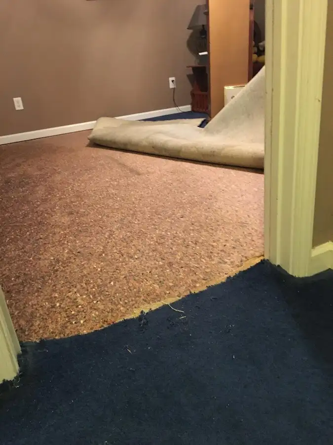 Carpet pad removal revealing water damage during Water Mitigation Services in Lower Macungie