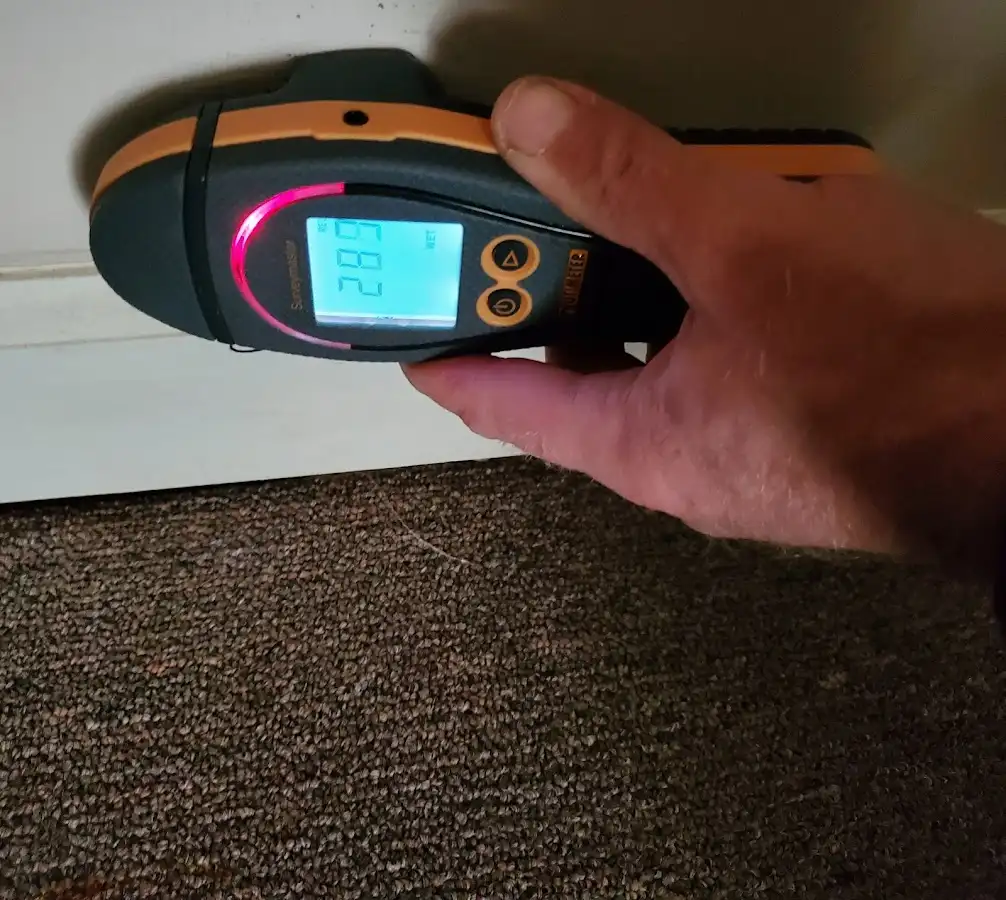 Moisture detection at baseboard during Mold Inspection & Testing in Lower Macungie